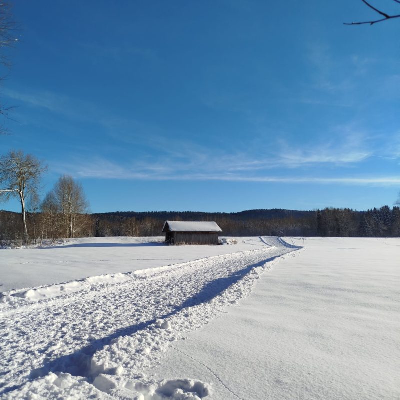 ski-de-fond-pont-de-martel