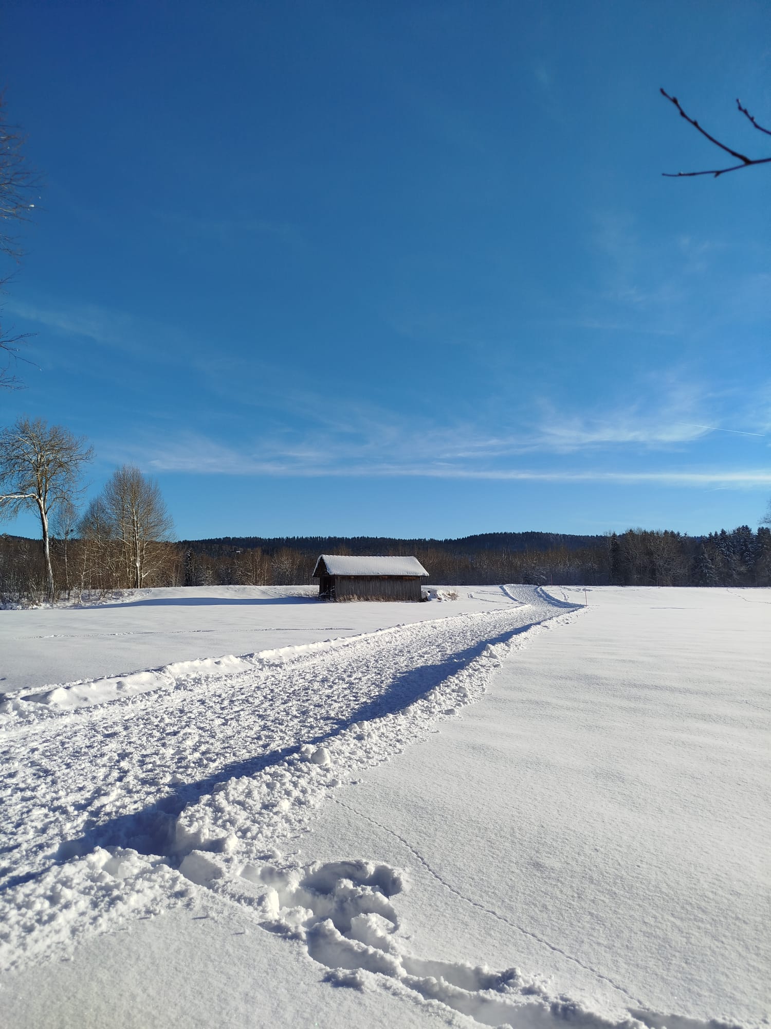 9 activités phares à faire dans le canton de Neuchâtel en hiver