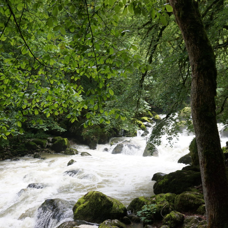 gorges-de-l-areuse-neuchatel