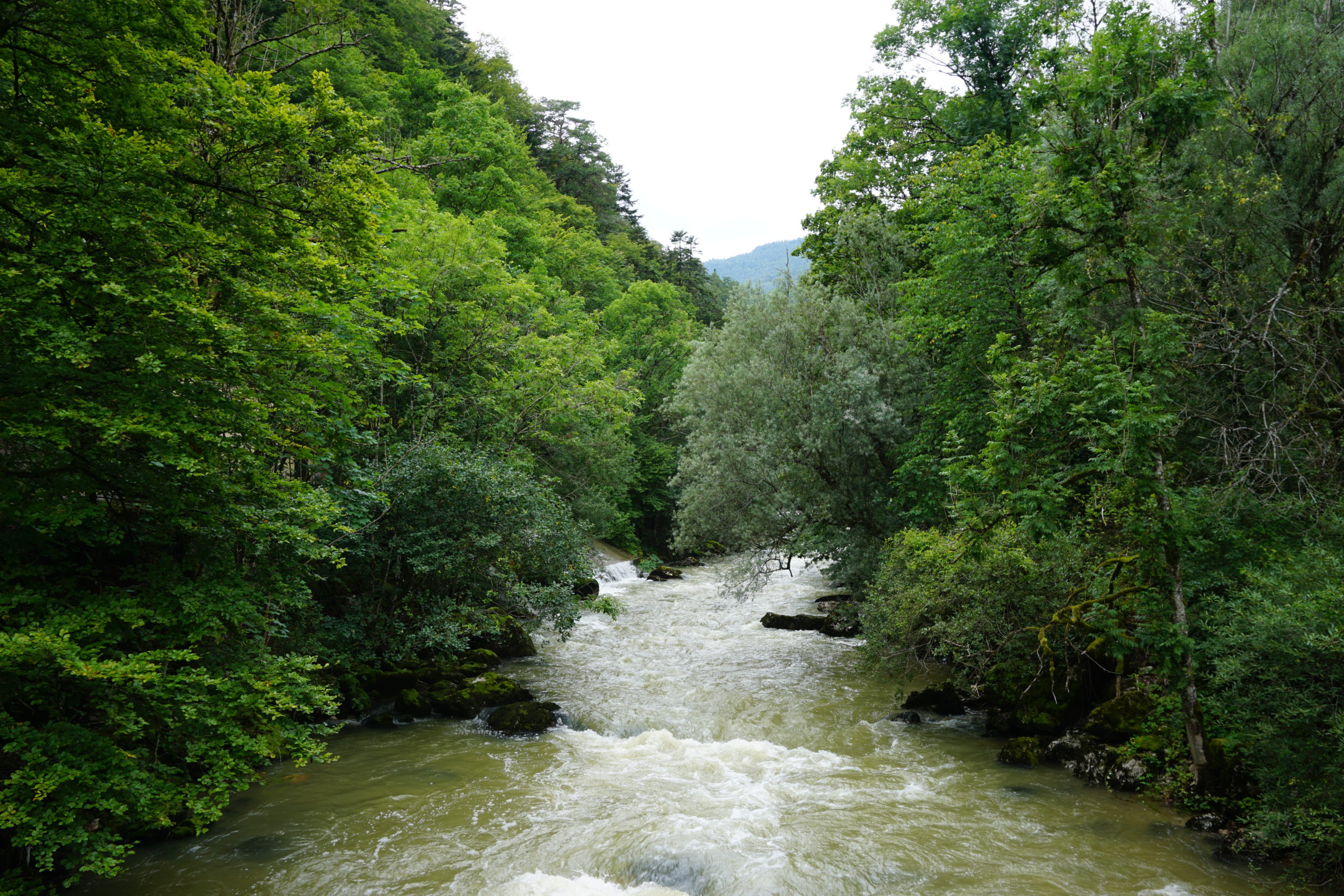 gorges-de-lareuse